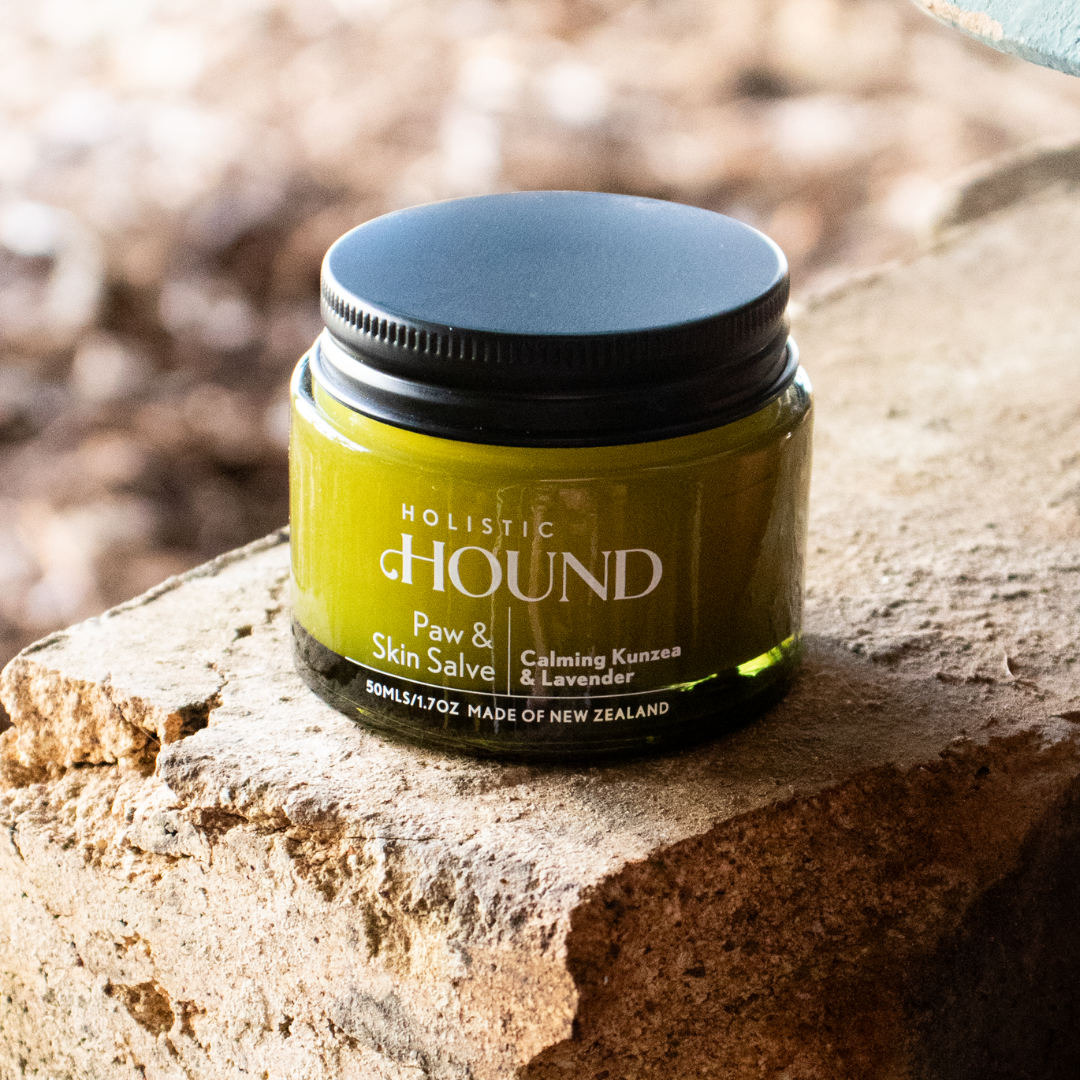 Holistic Hound Grooming Aids Holistic Hound Paw & Skin Salve 50ml