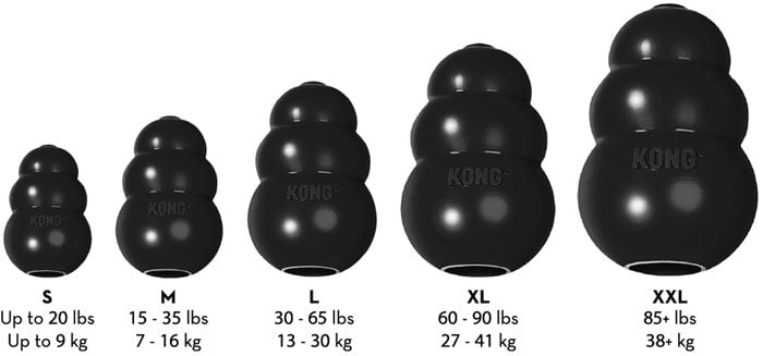 Kong Toys Kong Extreme Dog Toy