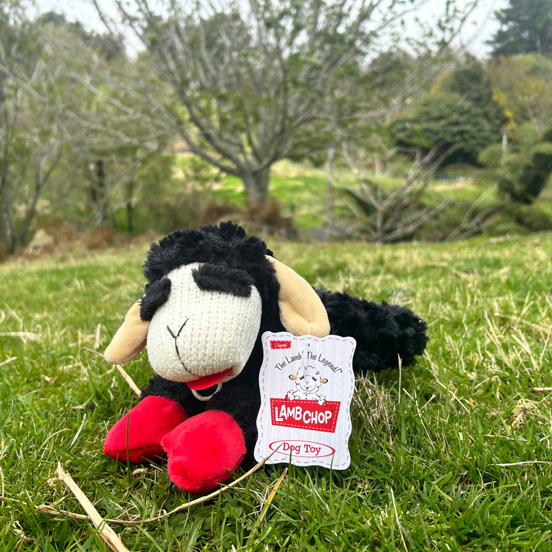 lamb chop Toys Lamb Chop Black Sheep Plushie 25cm