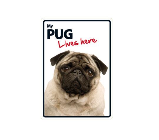 Not specified accessories A5 Plastic Sign - Pug Lives Here