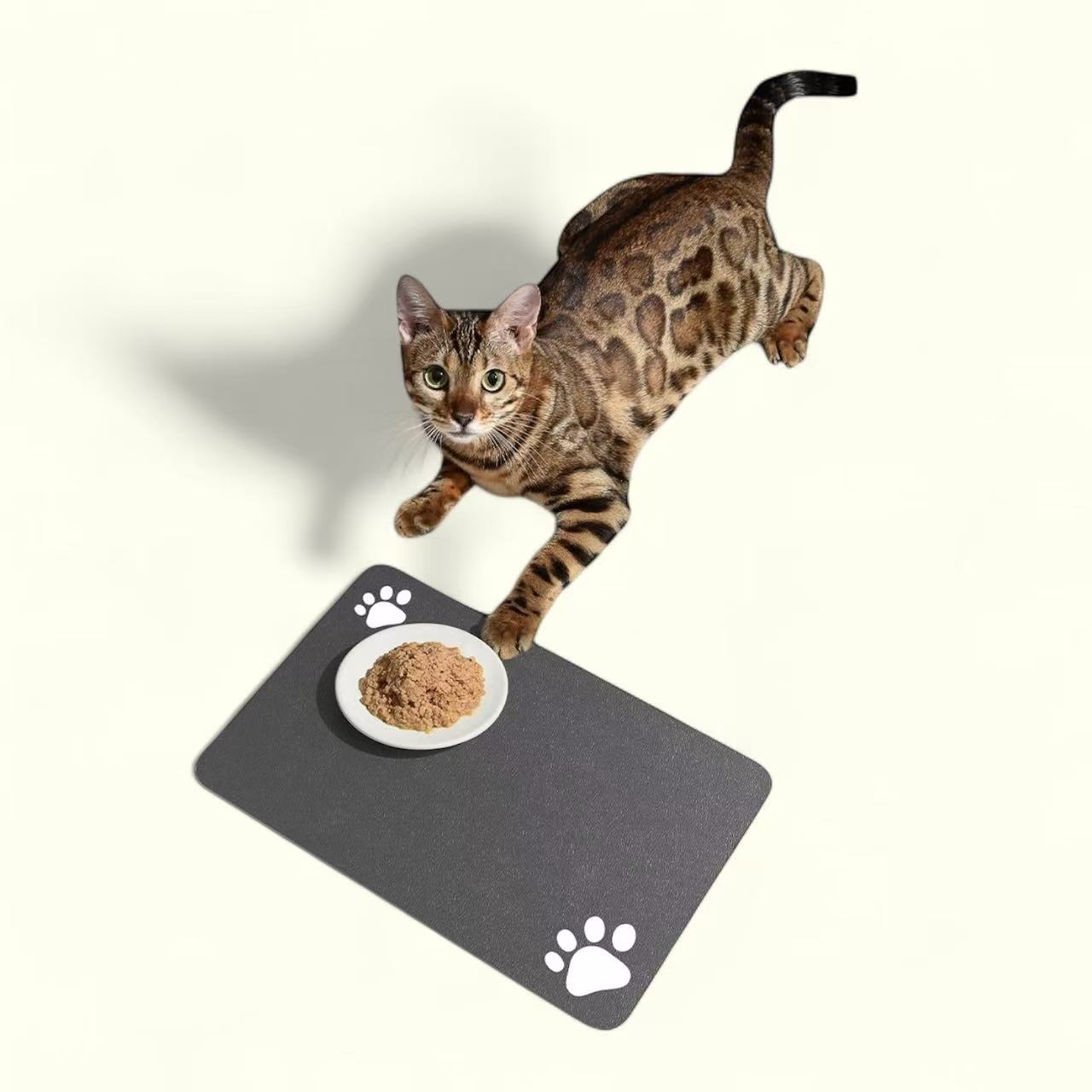 Not specified accessories Pet  Place Mat