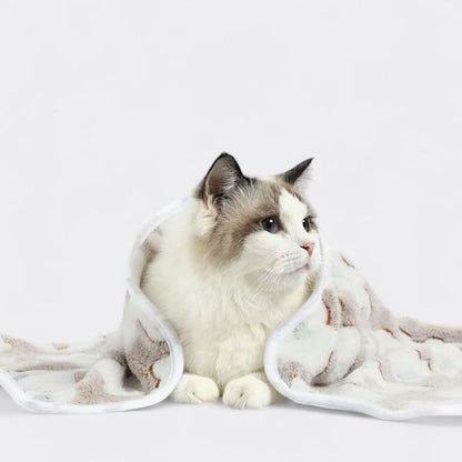 Not specified accessories Pet Plush Flannel Blanket