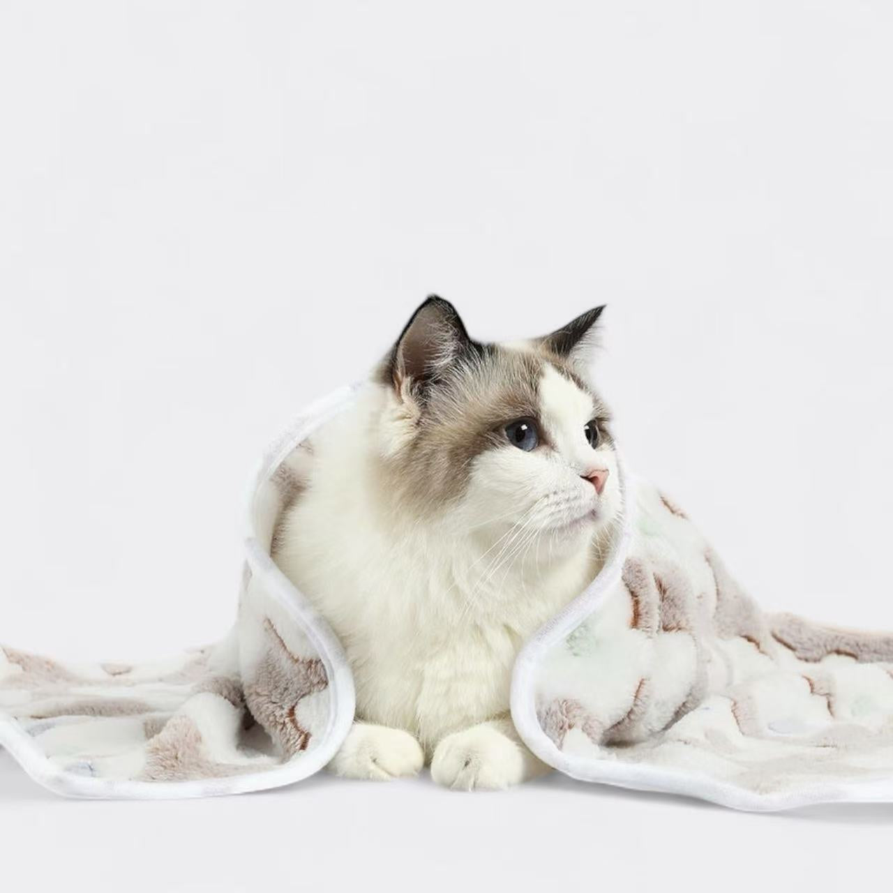 Not specified accessories Pet Plush Flannel Blanket