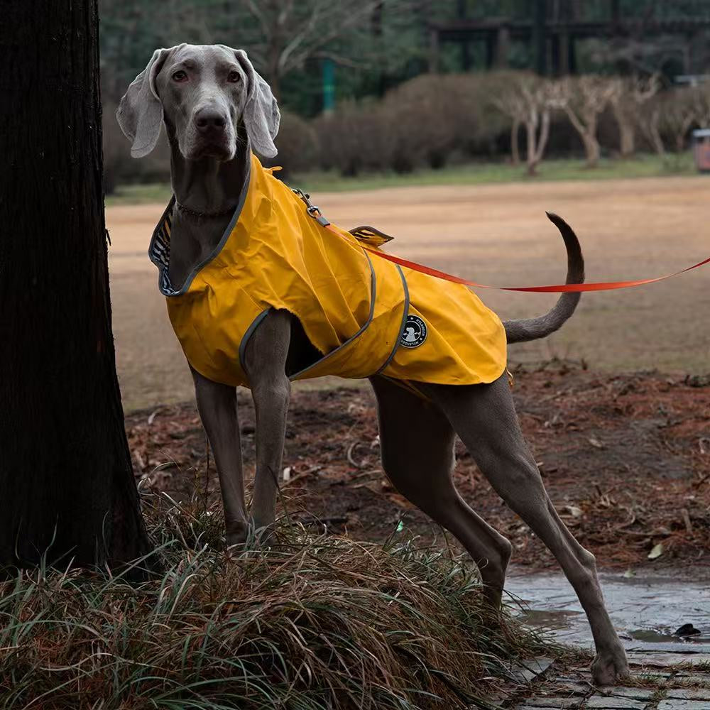 Not specified Apparel Dog Raincoat