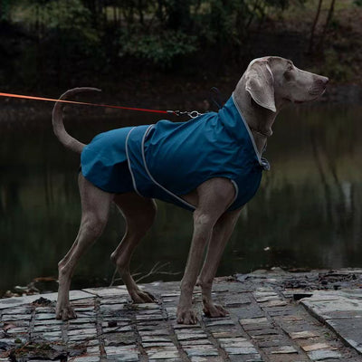 Not specified Apparel Dog Raincoat