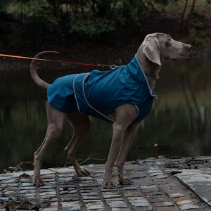 Not specified Apparel Dog Raincoat