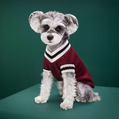 Not specified Apparel Pet Knitted V-Neck Sweater