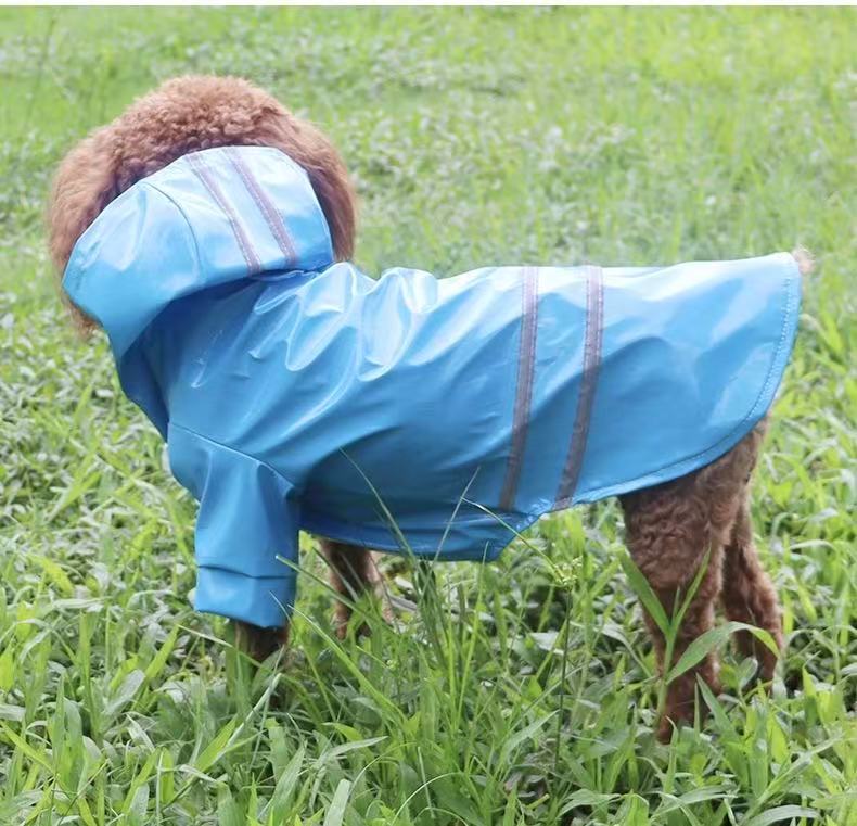 Not specified Apparel S / Blue Reflective Dog Raincoat