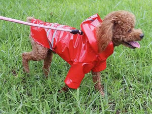 Not specified Apparel S / Red Reflective Dog Raincoat