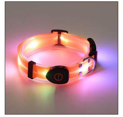 Not specified Collars / Leads Orange LED Collar