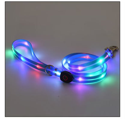 Not specified Collars / Leads Blue LED Leash