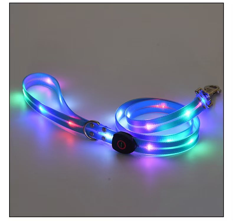 Not specified Collars / Leads Orange LED Leash