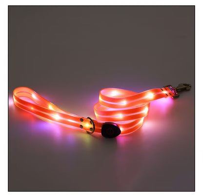 Not specified Collars / Leads Orange LED Leash