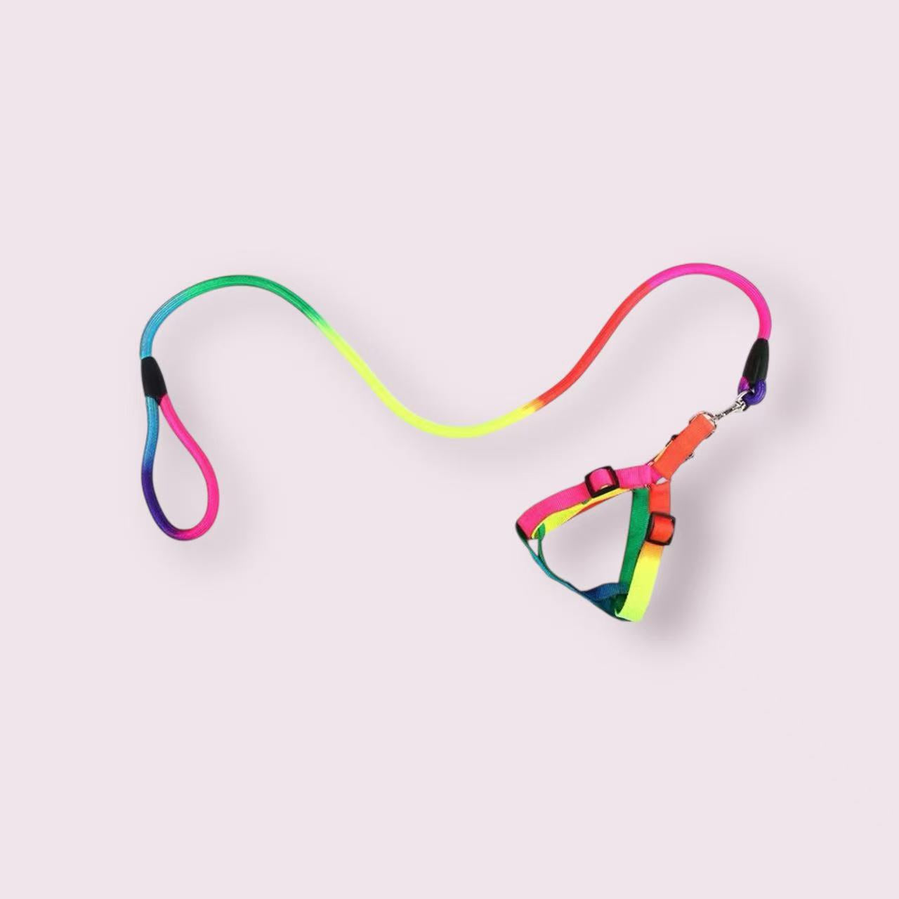 Not specified Collars / Leads Rainbow Lead & Harness Set