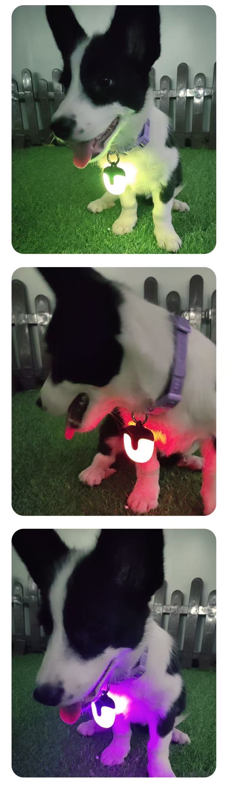 Not specified Collars / Leads Rechargable Safety Light for Pet
