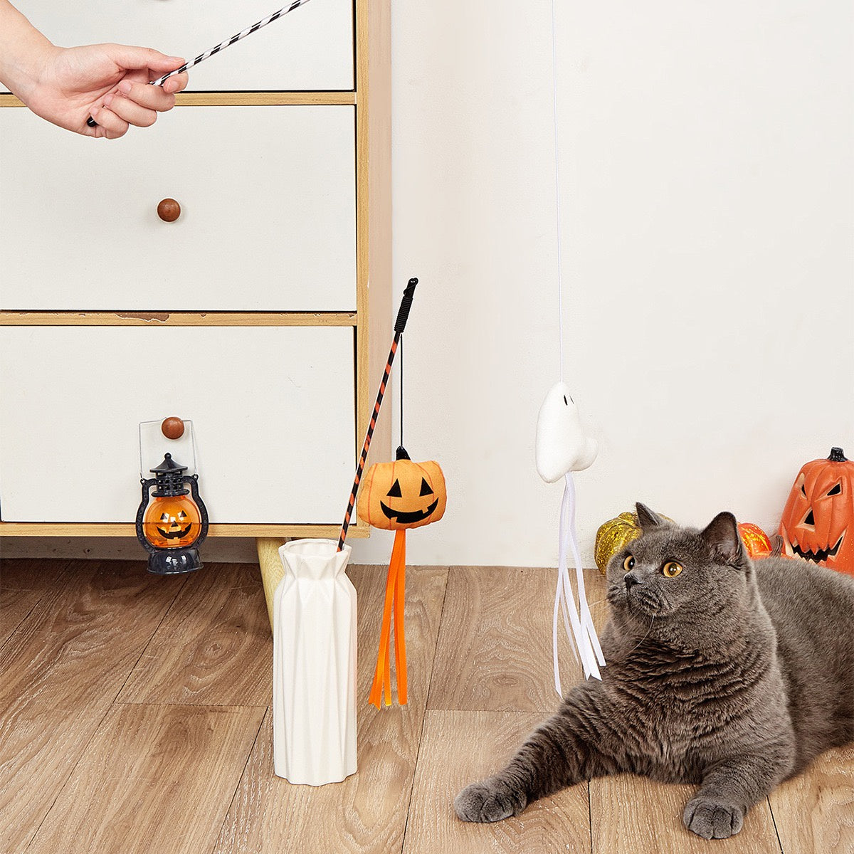 Not specified Toys Cat Teaser Halloween