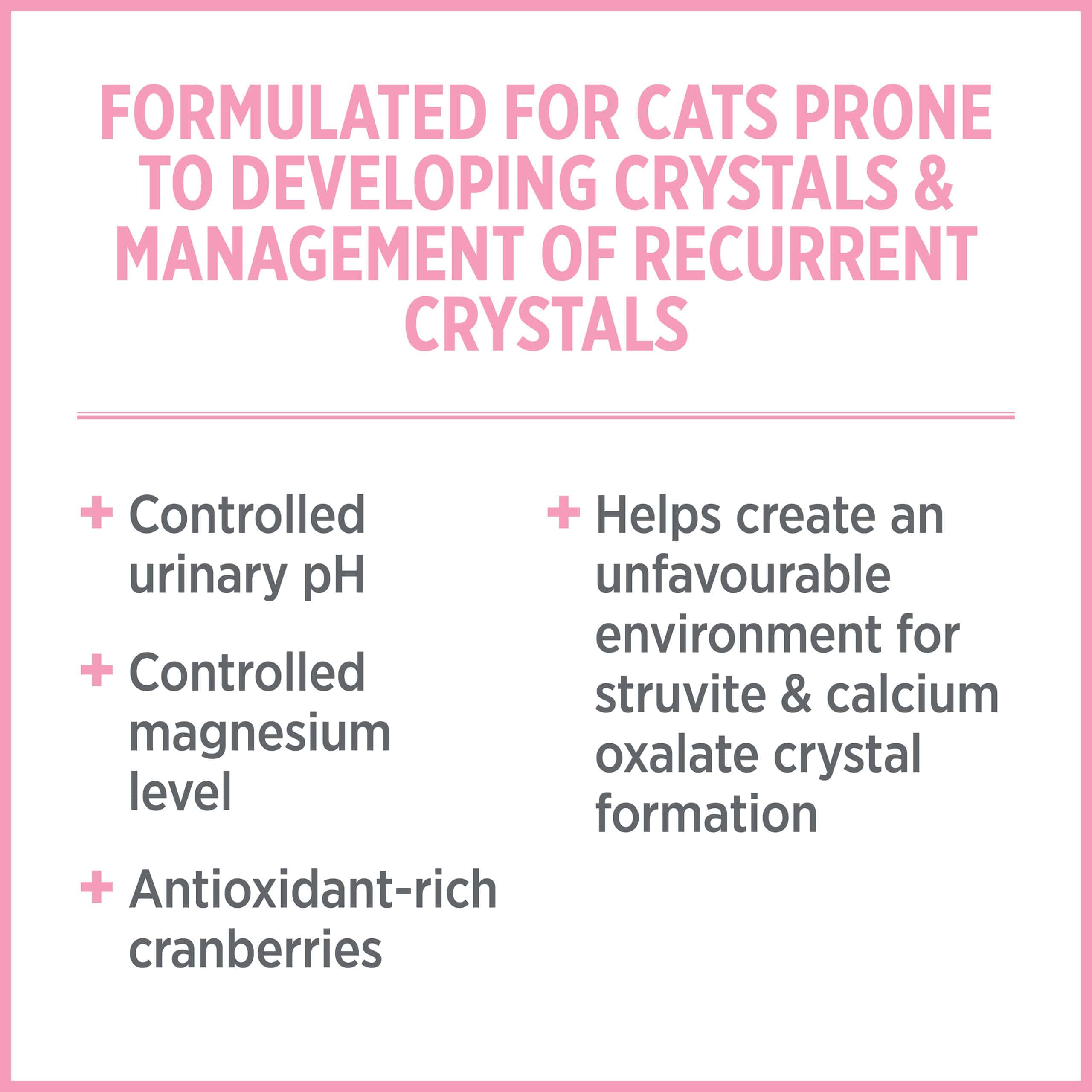 Nutrience Biscuits Nutrience CARE Urinary Health Cat Food 2.27KG