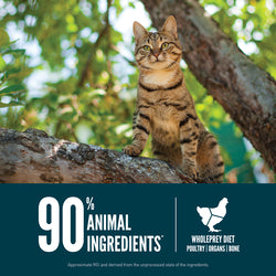 Orijen Biscuits Orijen Guardian 8 Cat Food