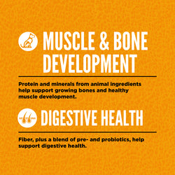 Orijen Biscuits Orijen Puppy Food