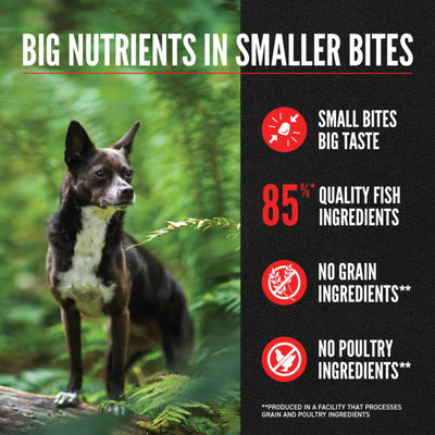 Orijen Biscuits Orijen  Small Breed Marine Fish Dog Food
