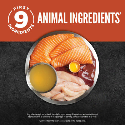 Orijen Canned Food Orijen Cat Salmon & Chicken, Chunks & Shreds in Bone Broth