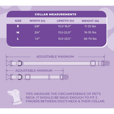 Perris Print Ltd Collars / Leads Daisy Collar