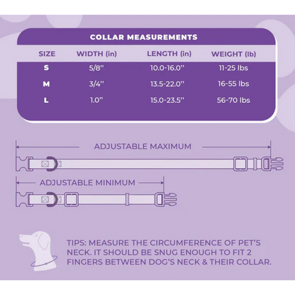 Perris Print Ltd Collars / Leads Daisy Collar
