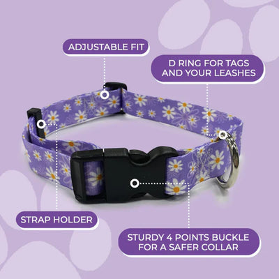 Perris Print Ltd Collars / Leads Daisy Collar
