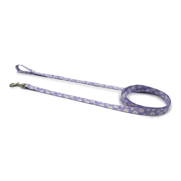 Perris Print Ltd Collars / Leads Daisy Leash