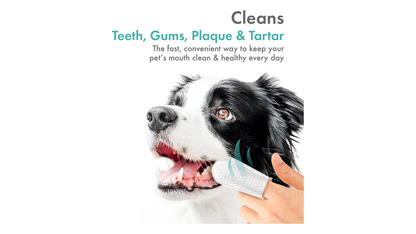Petkin Grooming Aids Petkin Fingertip Tooth Wipes Mint 50 Pack