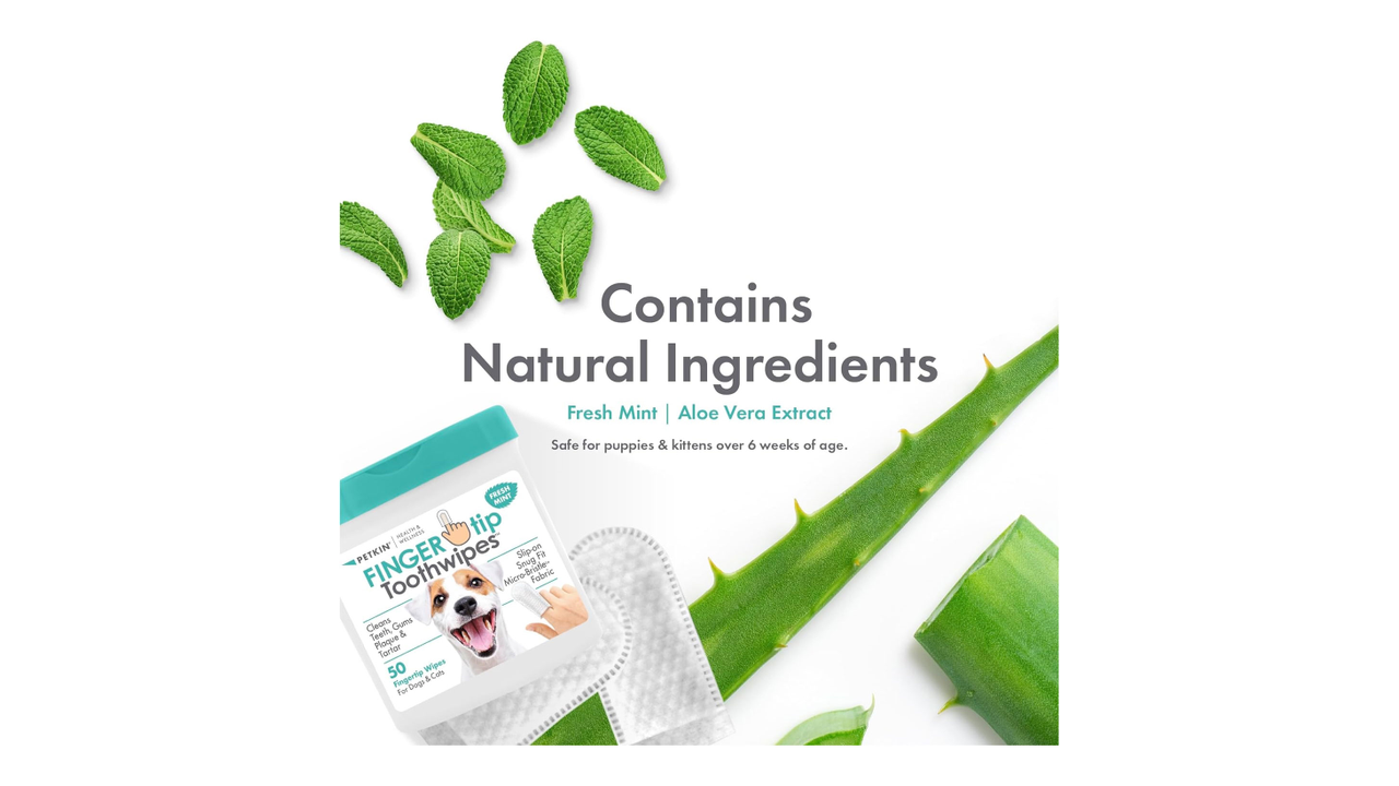 Petkin Grooming Aids Petkin Fingertip Tooth Wipes Mint 50 Pack