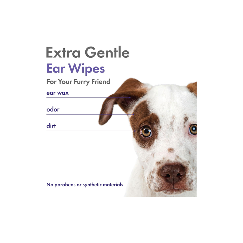 Petkin Grooming Aids Petkin Plant Based Ear Wipes Lavendar 80pk