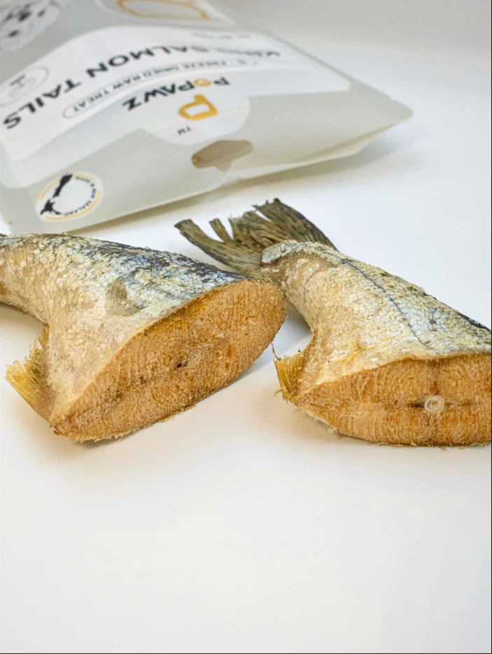 POPAWZ Treats POPAWZ Freeze-Dried King Salmon Tails