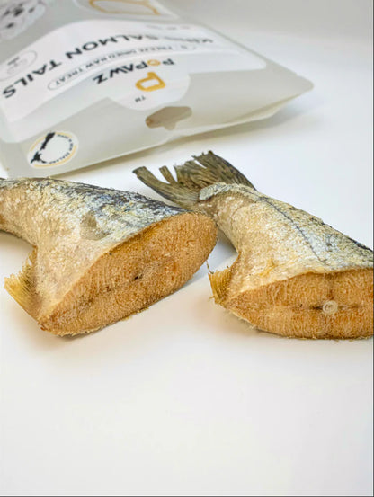 POPAWZ Treats POPAWZ Freeze-Dried King Salmon Tails