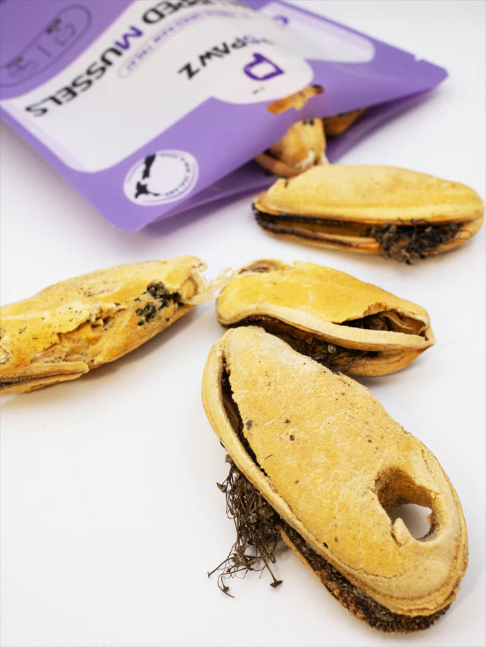 POPAWZ Treats Popawz Green Lipped Mussels 50g