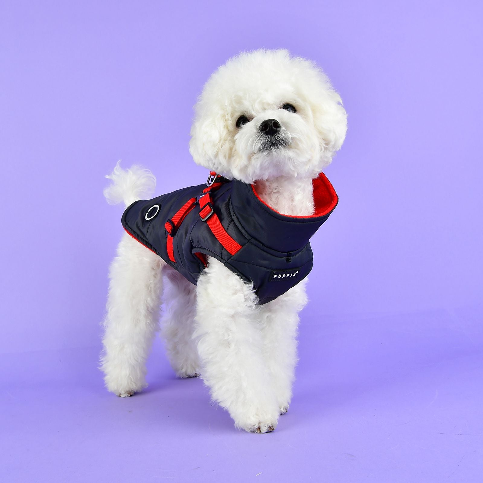 Puppia Apparel Puppia Mountaineer II Harness Jumper/Jacket