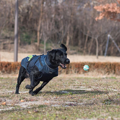 Puppia Apparel Puppia Teton Jacket for Dogs