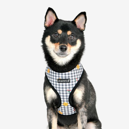 Puppia Harnesses / Haltis Puppia Baba Harness