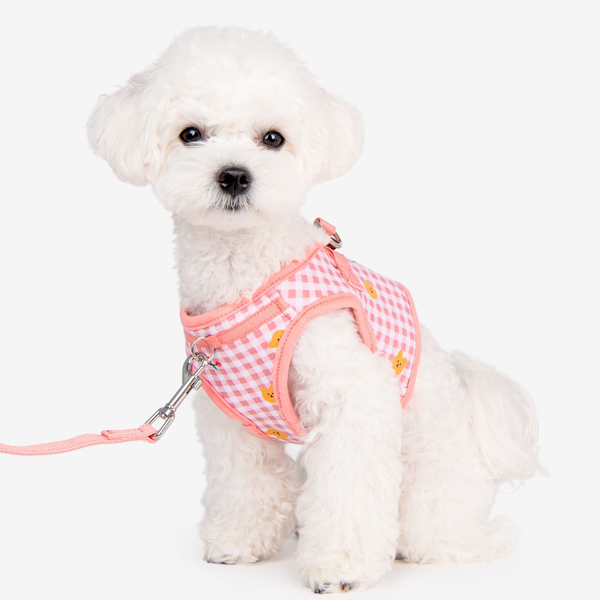 Puppia Harnesses / Haltis Puppia Baba Vest Harness