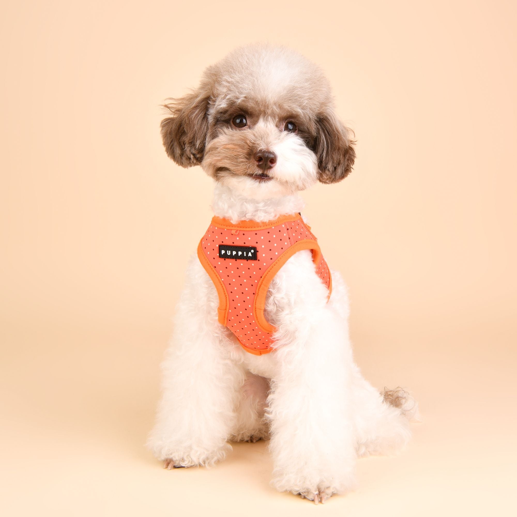 Puppia Harnesses / Haltis Puppia Bonnie Vest Harness