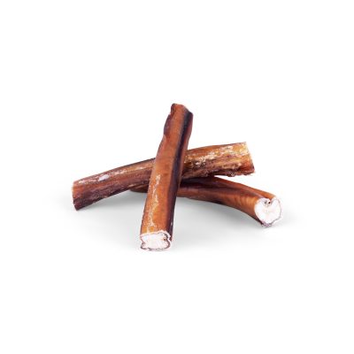 Ranger Treats Beef Pizzle Dental Chew (Bully Stick) 15cm