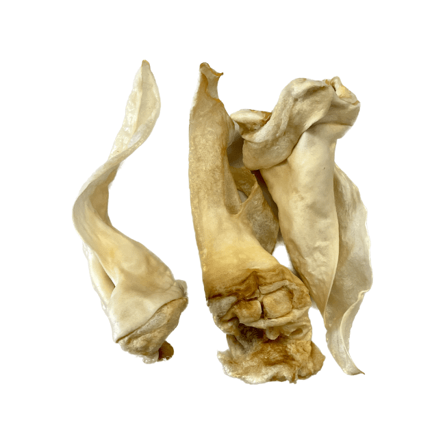 Ranger Treats Venison Ear Furless Single