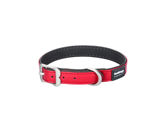 Red Dingo Collars / Leads 12mmx25cm / Red Red Dingo Dog Buckle Collar Vegan Leather