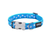 Red Dingo Collars / Leads Red Dingo Dog Collar Stars White on Turquoise