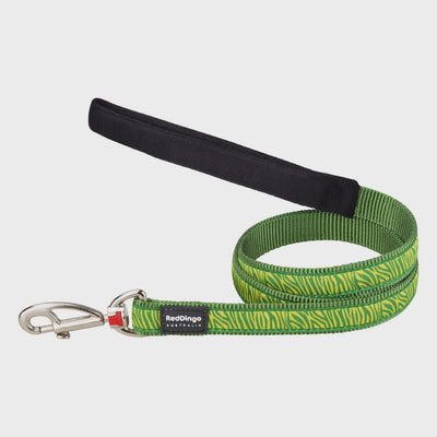 Red Dingo Collars / Leads 20mm / Safari Green Red Dingo Dog Lead