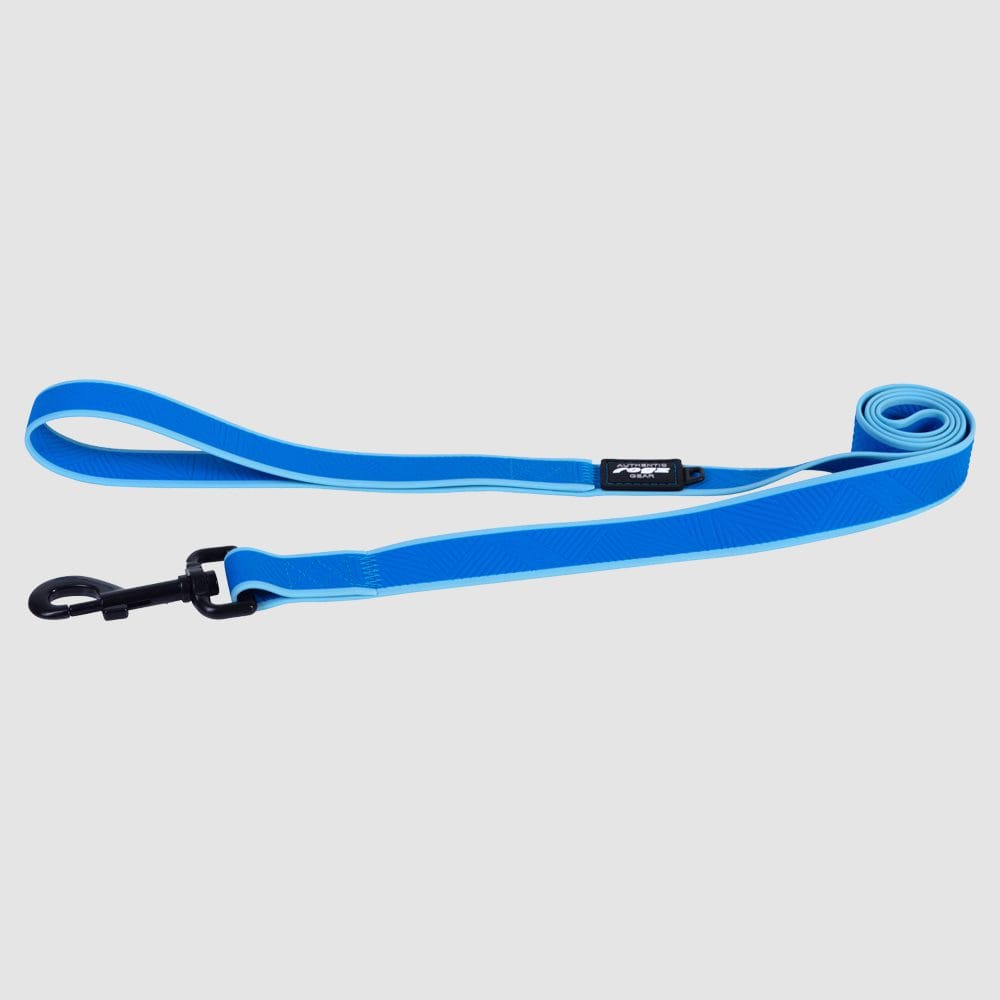 Rogz Collars / Leads Blue / Medium Rogz Amphibian Classic Dog Lead
