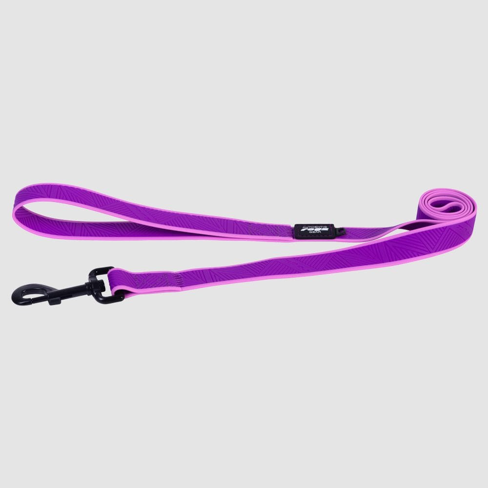Rogz Collars / Leads Purple / Medium Rogz Amphibian Classic Dog Lead