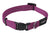 Rogz Collars / Leads pink / S Rogz Classic  Collar