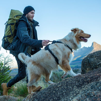 Rogz Harnesses / Haltis Rogz Explore Harness