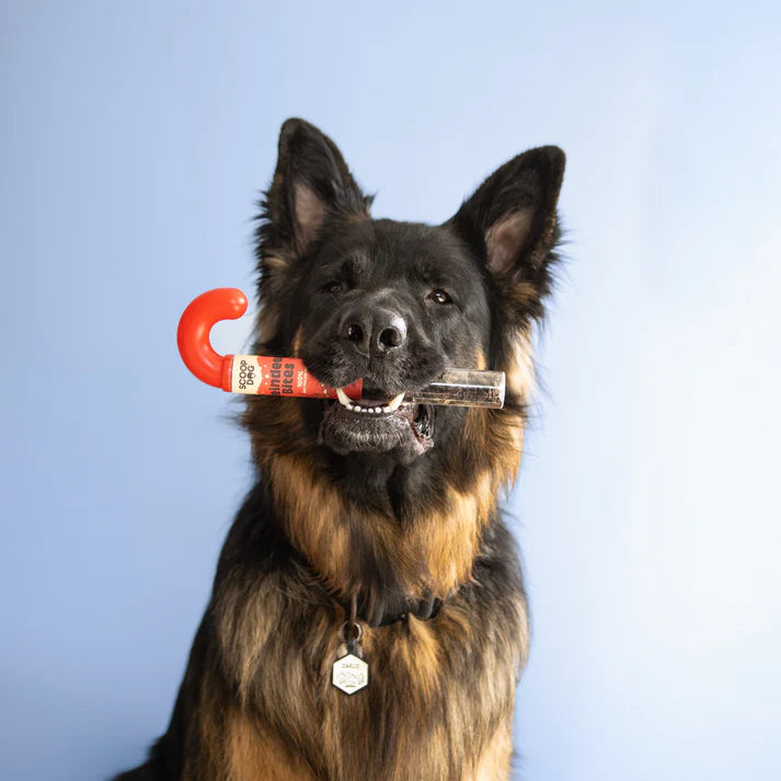 Scoop Dog Treats Scoop Dog Reindeer Bites Candy Cane